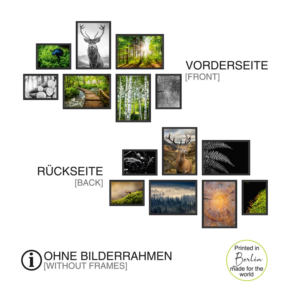 Poster-Set "Wald" Übersicht