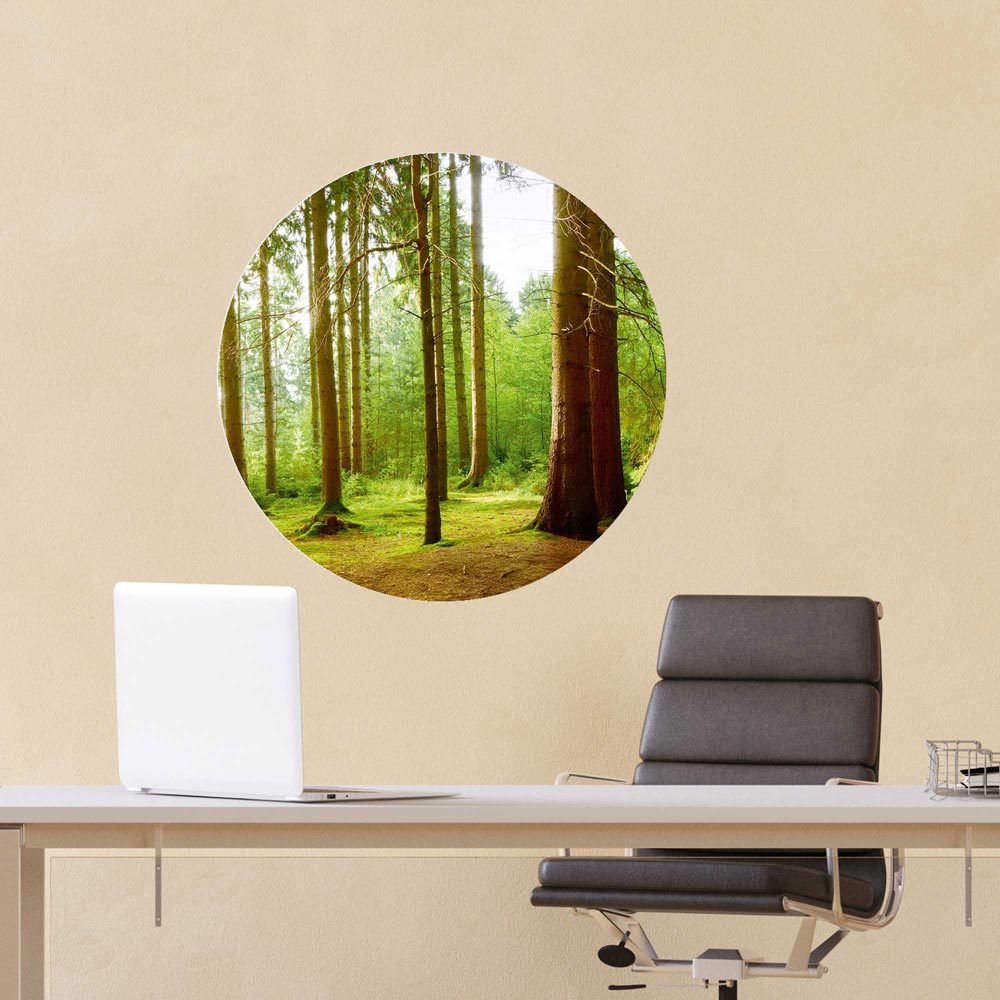 Wandaufkleber rund "Wald" am Schreibtisch