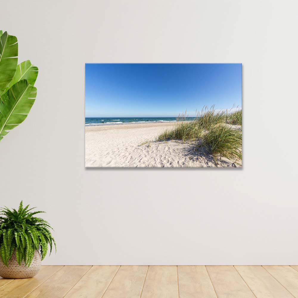 Leinwandbild "Strand Ostsee" an Wand mit Pflanzen